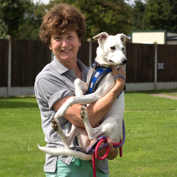 Danaher volunteer Dorothy holding her favourite sighthound